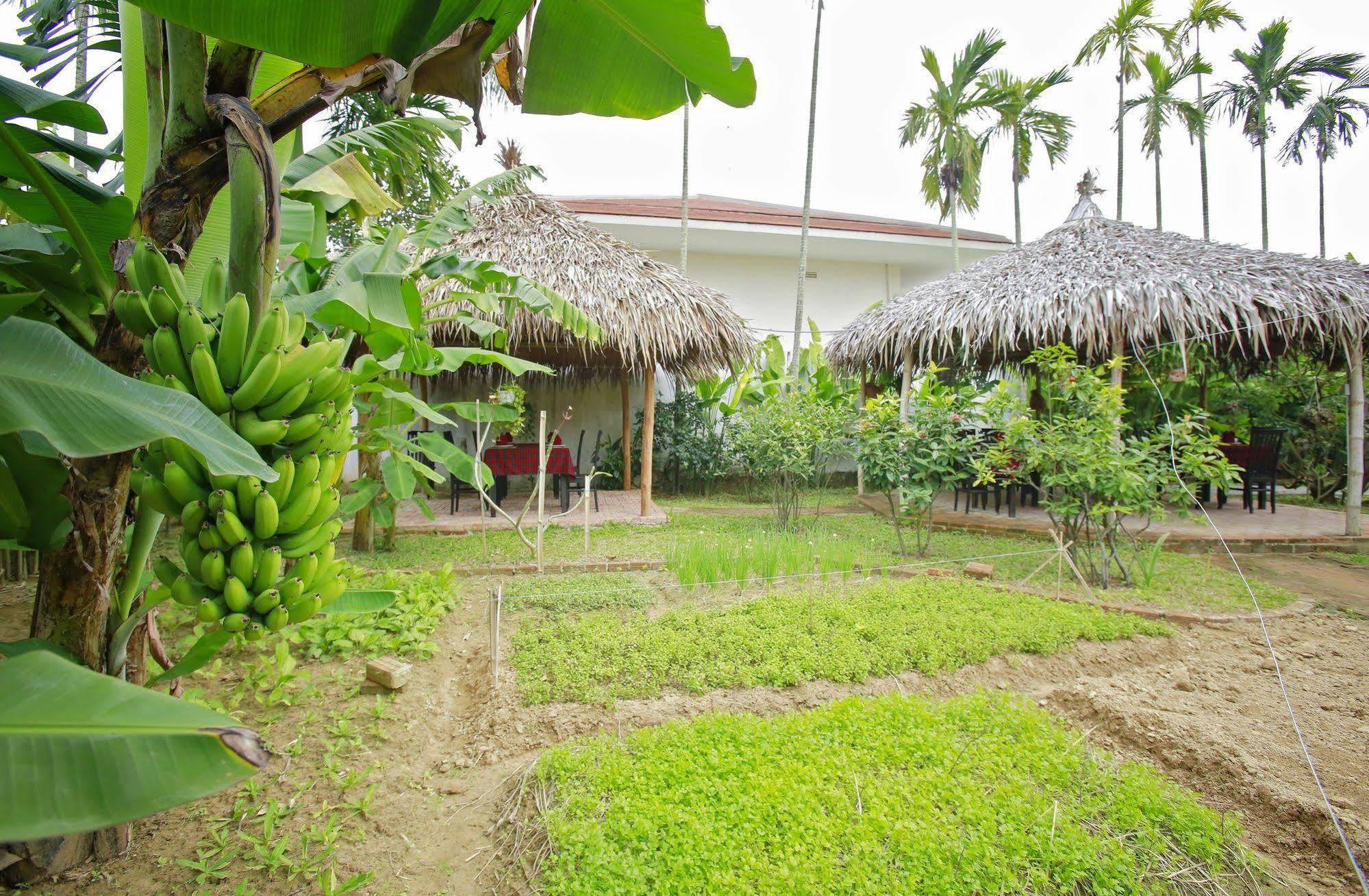 Hoi An Red Frangipani Villa Экстерьер фото